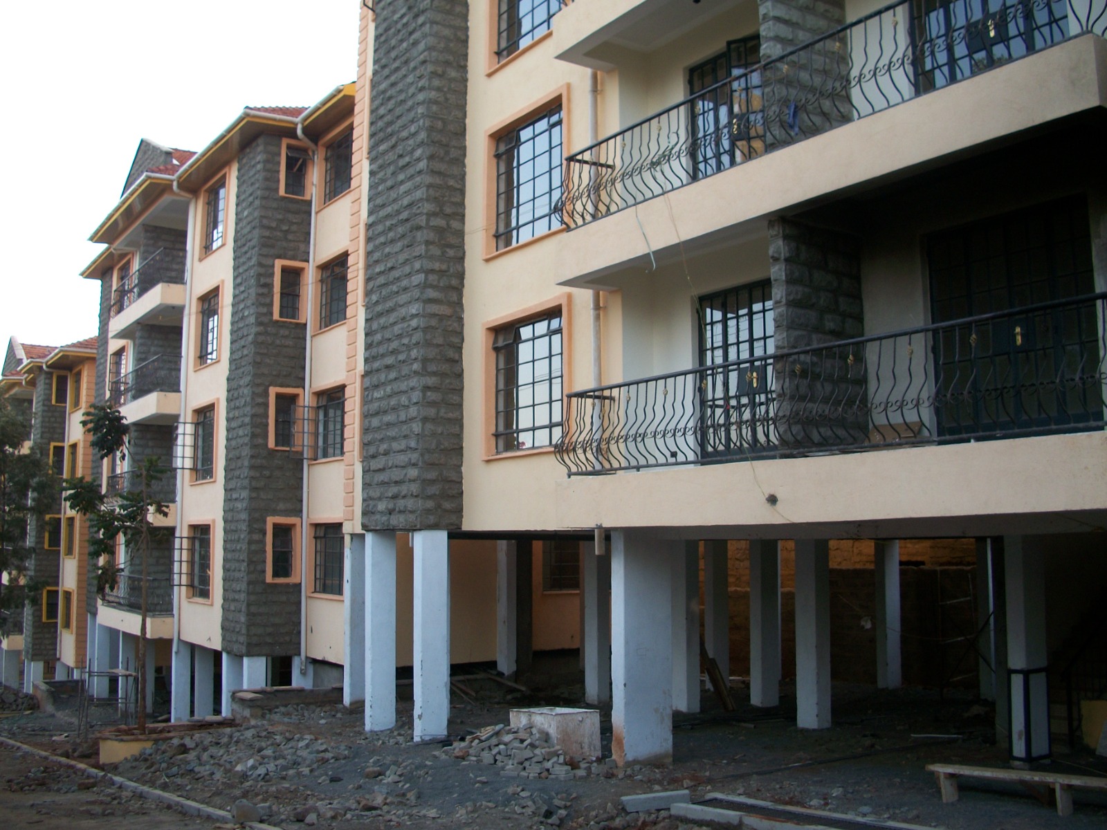 temus (1)